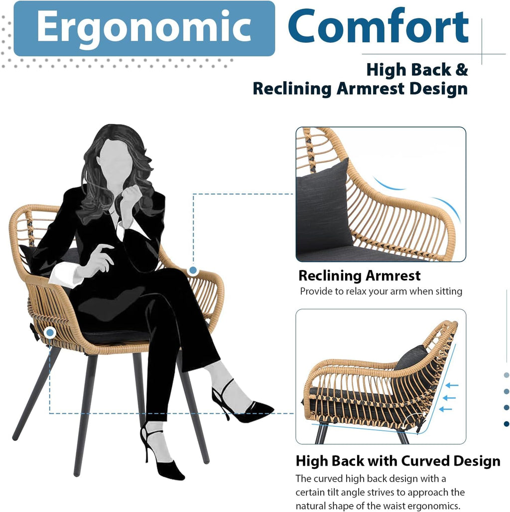 Black Wicker Patio Dining Chairs Set of 2